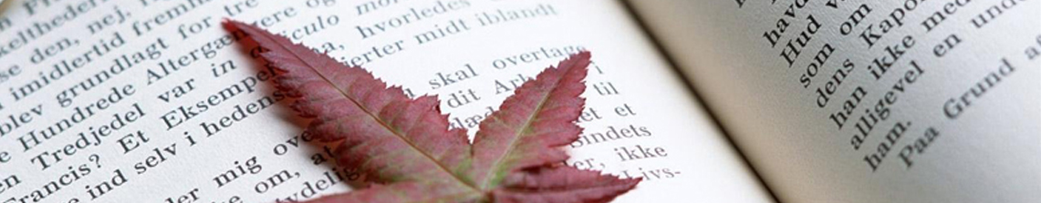 Banner 13